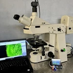 Zeiss Axioplan 2 Led Upgraded Fluorescence Microscope Cam+ Guarantee. Fixed Price $7950.00.