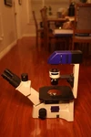 Fisher Scientific (motic AE31) Inverted Phase Contrast Tissue Culture Microscope. Fixed Price $875.99.