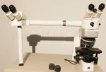 Zeiss Axio A1 Microscope With Observer Arm, 100X, 40X, 10X 5X Objectives. Fixed Price $5499.99.