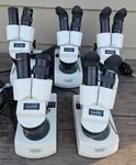 Lot Of Carolina Wolfe 59-1823 Binocular Microscope Read Description R2. Fixed Price $349.99.