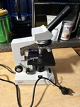 Wolfe Carolina Biological Microscope 59-0950. Fixed Price $35.00.