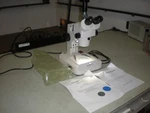 Vwr Xtl-v Vistavision Zoom Stereo Microscope With Trinocular Body Omano Stand. Fixed Price $249.99.