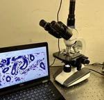 Amscope T360C Clinical Trinocular Microscope. Fixed Price $575.00.