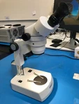 Fisher Science Binocular Stereo Microscope With Built-in Illumination. Fixed Price $179.00.
