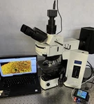 Olympus BX51 Apo Led Fluorescence Ph Contrast Microscope Cam + Guarantee. Fixed Price $9650.00.