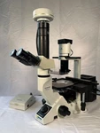 Olympus CKX41 Fluorescence + Phase Inverted Microscope Cam. Fixed Price $3200.00.