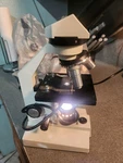 Frey Scientific Microscope Model 131 Compound With X-y Stage 40-400X Tested!. Fixed Price $59.00.