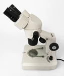 Fisher Stereomaster Binocular Zoom Microscope Dual Light 10X Eyepieces Tested. Fixed Price $129.00.