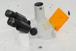 Nikon TS100 Trinocular Head W/ V-t Camera Adapter, 2X C-w 10XA/22 Eyepieces. Fixed Price $349.00.